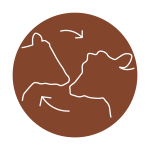 Cattle direct contact icon